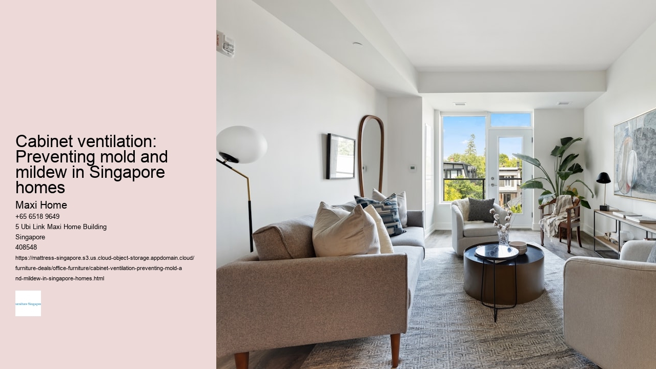 Cabinet ventilation: Preventing mold and mildew in Singapore homes