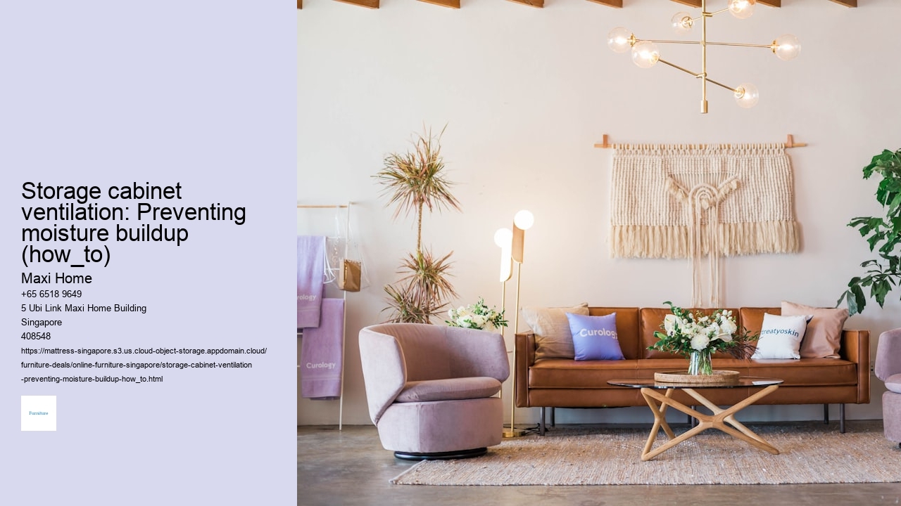 Storage cabinet ventilation: Preventing moisture buildup (how_to)