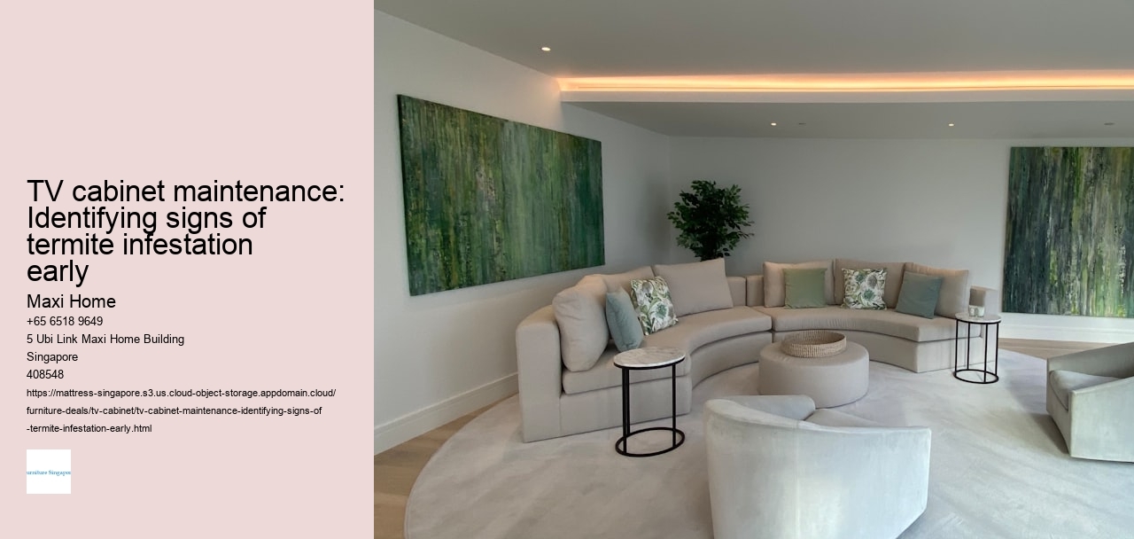 TV cabinet maintenance: Identifying signs of termite infestation early